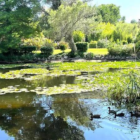 Le Rayon * シス・フール・レ・プラージュ