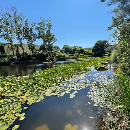 Le Rayon Six-Fours-les-Plages