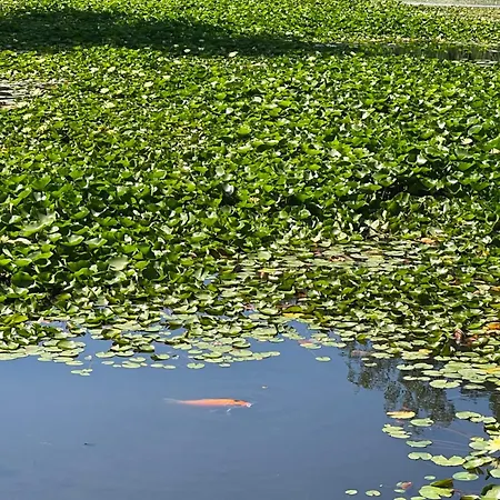 Apartament Le Rayon Six-Fours-les-Plages