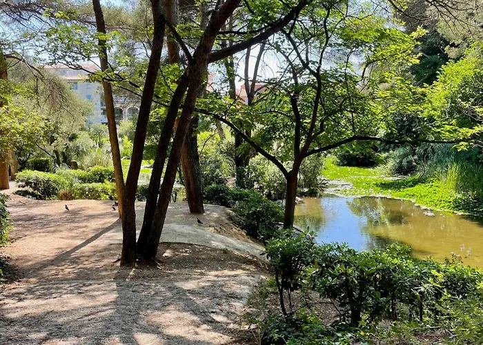 Appartement Le Rayon Six-Fours-les-Plages