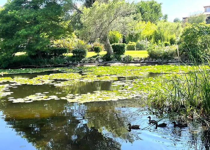 Le Rayon * Six-Fours-les-Plages